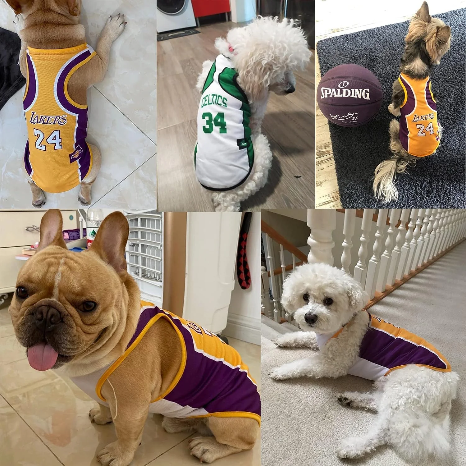 Basketball Dog Jersey & Puppy Outfit for Small & Medium Dogs - Image 3