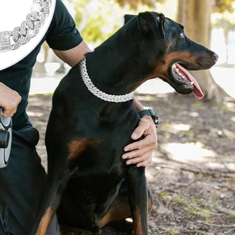 Best Adjustable Diamond & Rhinestone Pet Collar for Dogs & Cats - Image 10