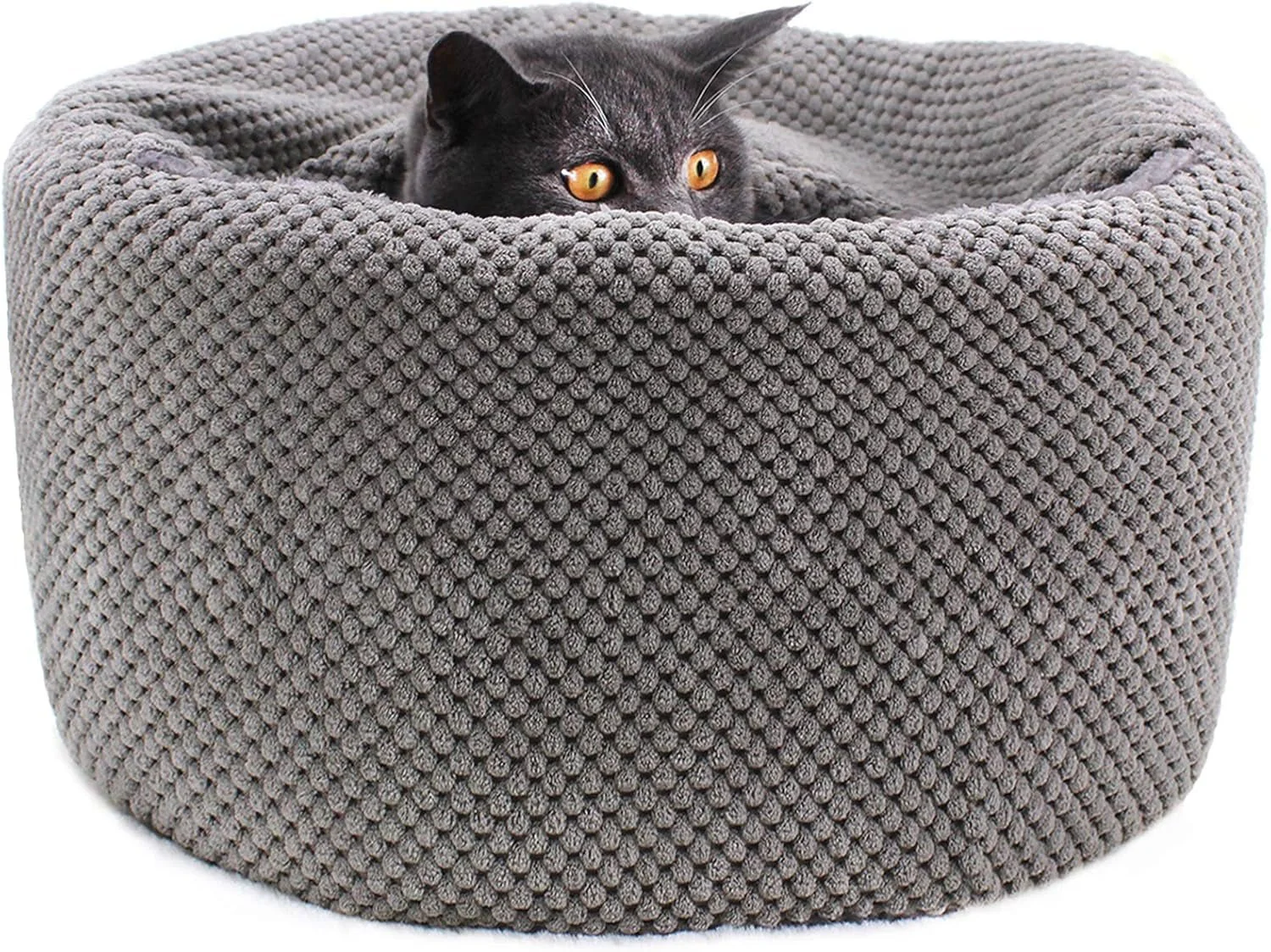 Best Affordable Washable Cozy Bed for Indoor Cats - Image 10