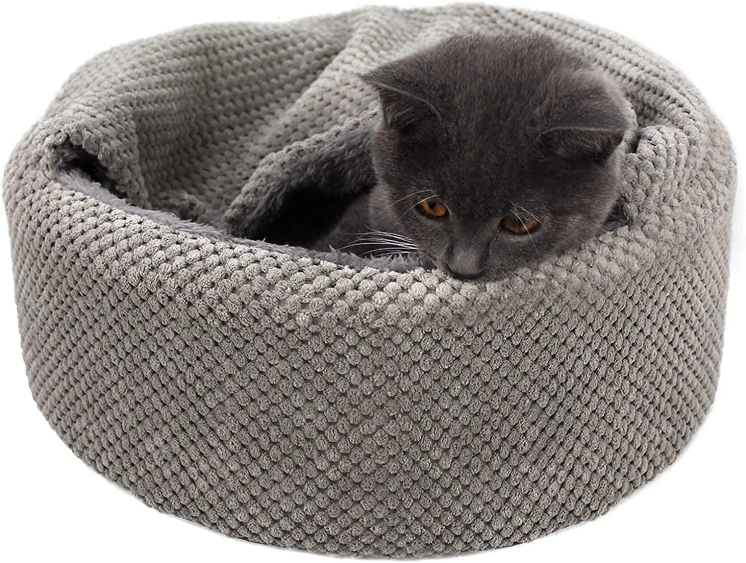 Best Affordable Washable Cozy Bed for Indoor Cats - Image 3