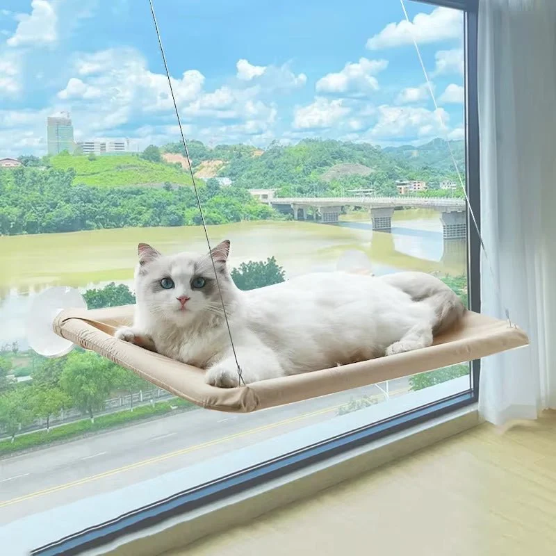 Best Firm & Comfortable Cat Window Hammock Perch - Image 8