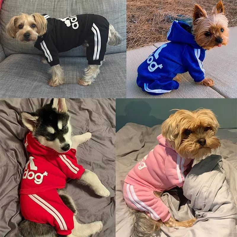 Best Fleece Dog Jumpsuit & Onesie for Small Dogs - Image 3