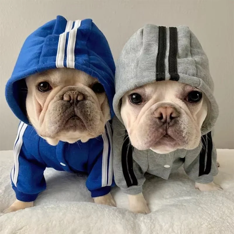 Best Fleece Dog Jumpsuit & Onesie for Small Dogs - Image 4
