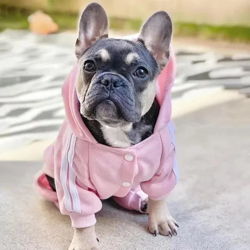 Best Fleece Dog Jumpsuit & Onesie for Small Dogs - Image 6