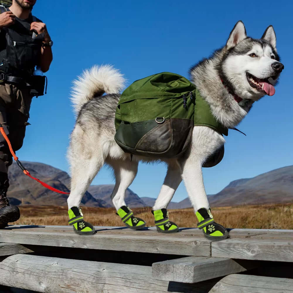 Best Waterproof Outdoor Dog Boots & Shoes – Durable & Comfortable - Image 3