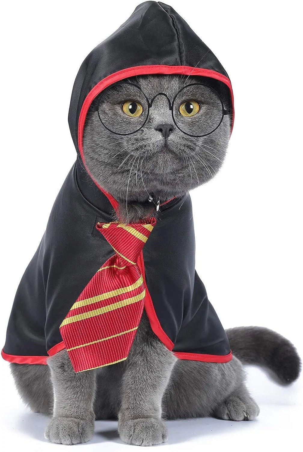 Cat Wizard Costume – Magical Pet Outfit for Cats - Image 3