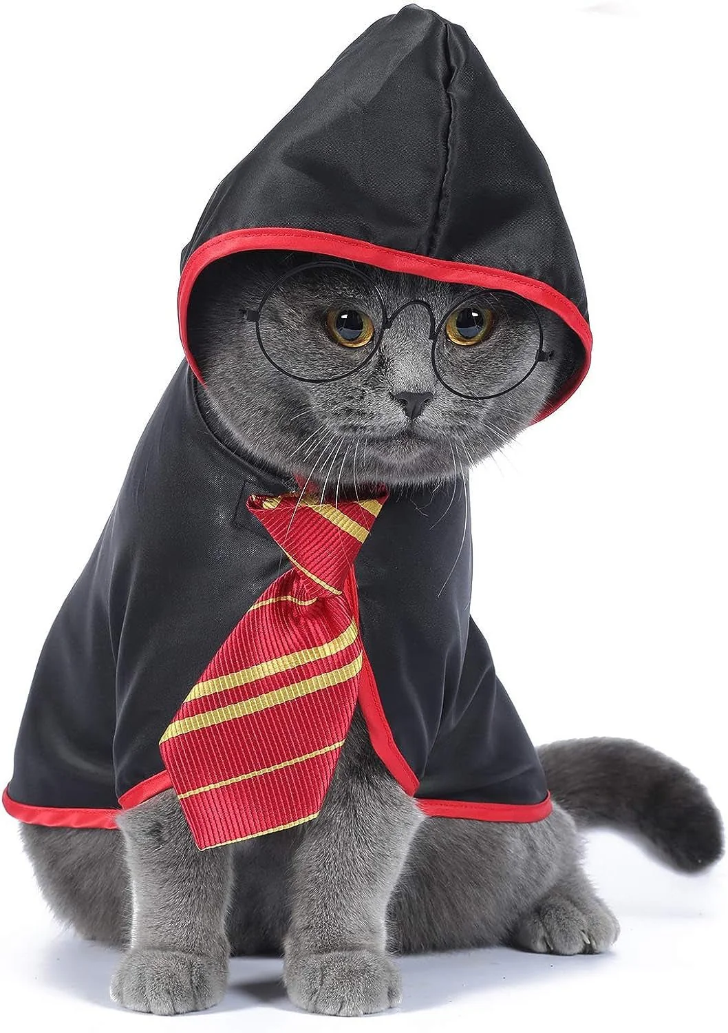 Cat Wizard Costume – Magical Pet Outfit for Cats - Image 4