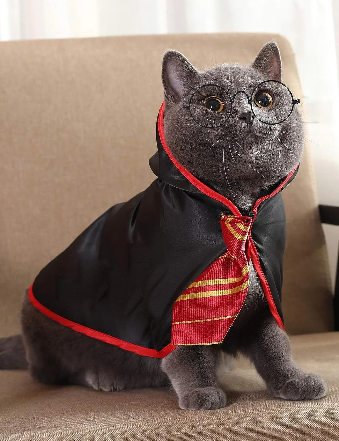 Cat Wizard Costume – Magical Pet Outfit for Cats - Image 5