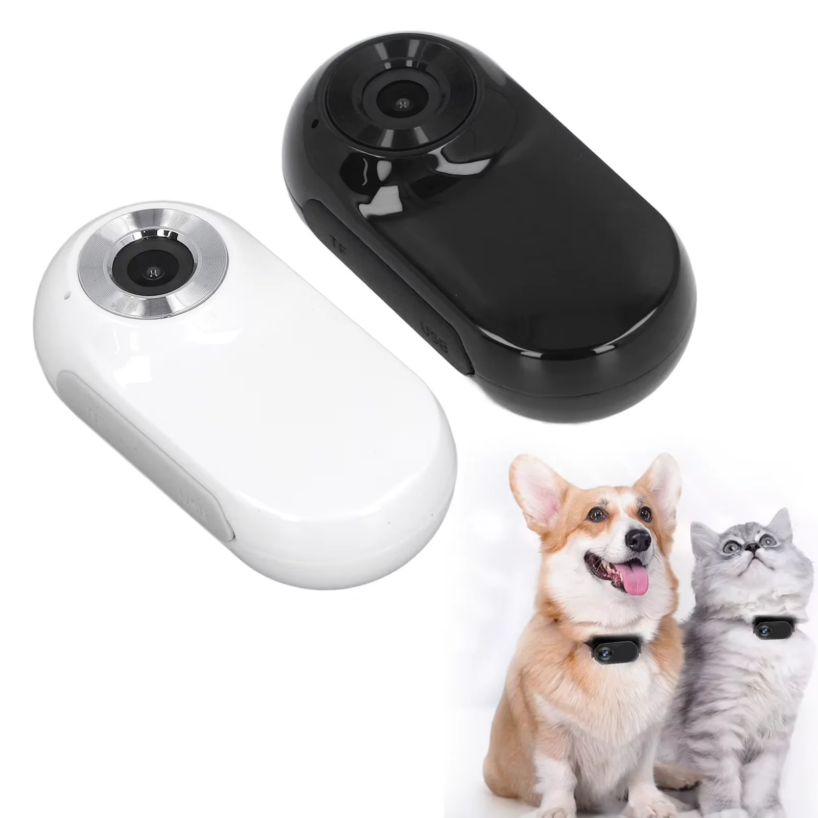 Pet Collar Camera for Dogs & Cats | HD Night Vision - Image 3