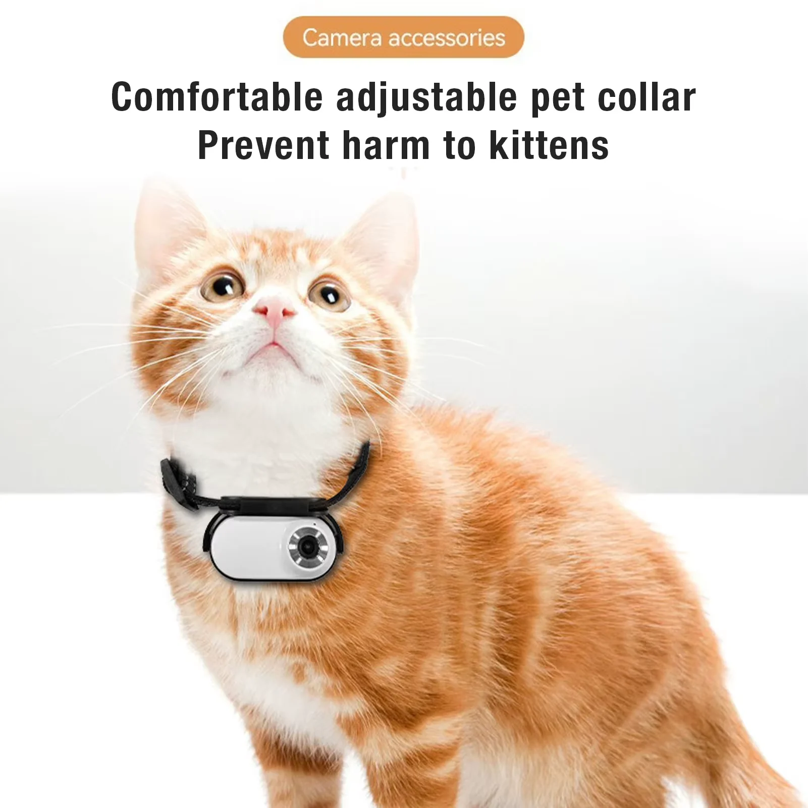 Pet Collar Camera for Dogs & Cats | HD Night Vision - Image 5