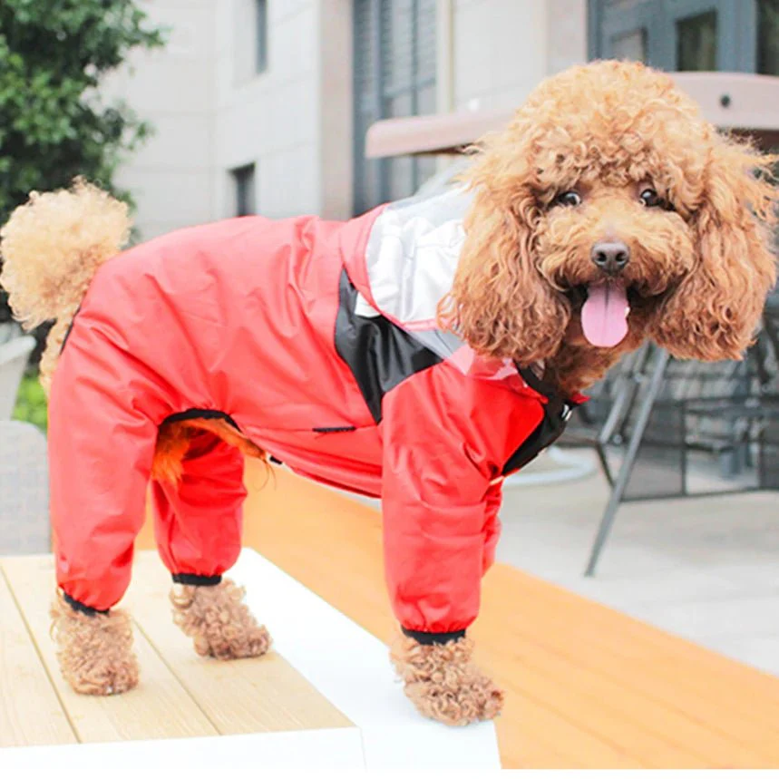 Top-Rated Durable Waterproof Dog Coat & Rain Jacket - Image 9