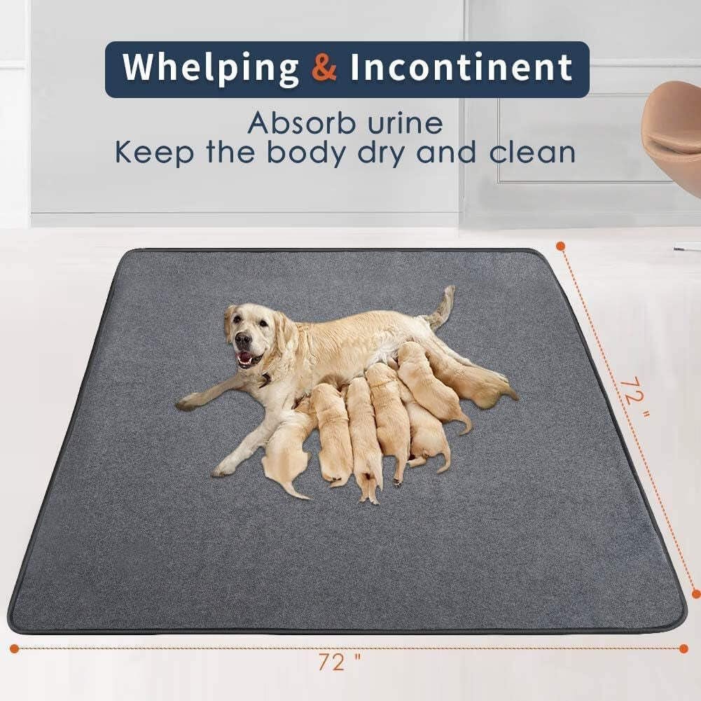 Top-Rated Washable & Reusable Dog Potty Training Pads - Image 5