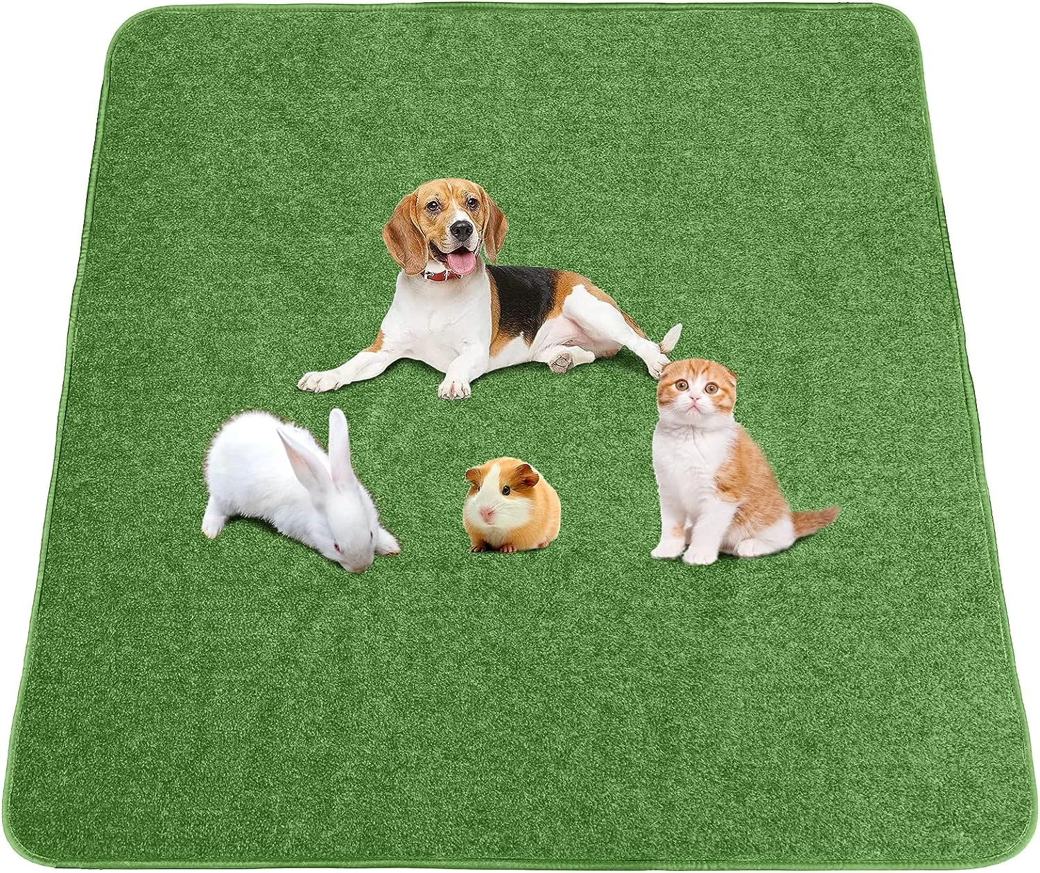 Top-Rated Washable & Reusable Dog Potty Training Pads - Image 8